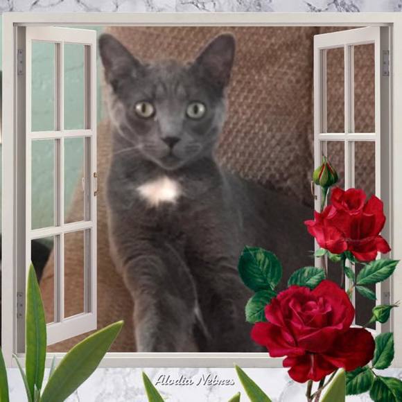 Meet your Posher, Tamara - Picture 1 of 1